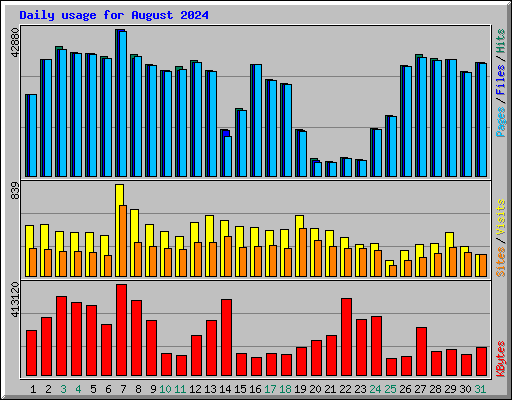 Daily usage for August 2024