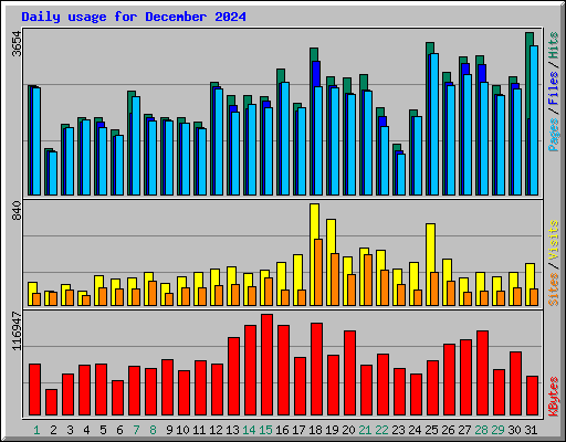 Daily usage for December 2024