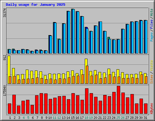 Daily usage for January 2025