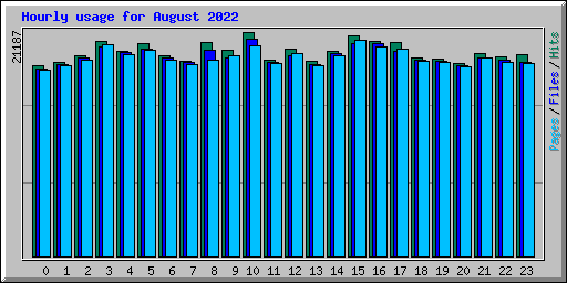 Hourly usage for August 2022