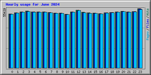 Hourly usage for June 2024