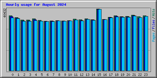 Hourly usage for August 2024