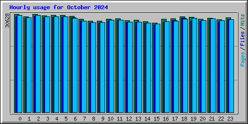 Hourly usage for October 2024