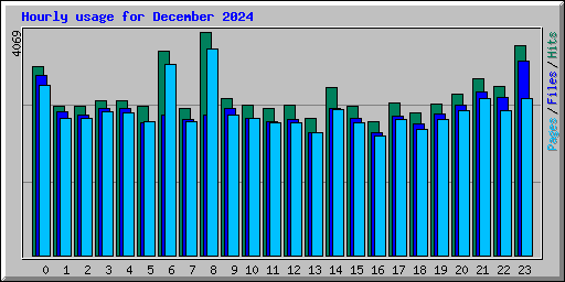 Hourly usage for December 2024