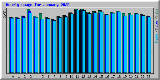 Hourly usage for January 2025