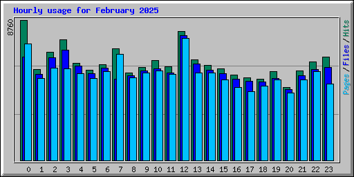 Hourly usage for February 2025