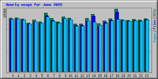 Hourly usage for June 2025