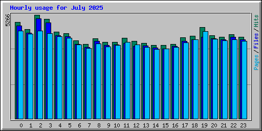 Hourly usage for July 2025