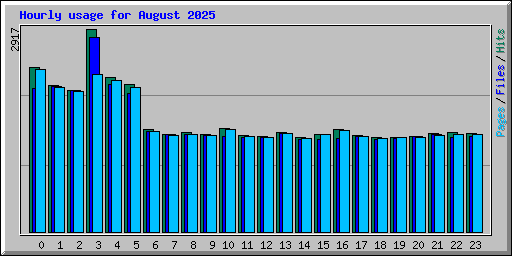 Hourly usage for August 2025