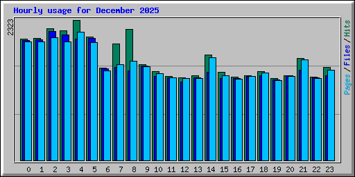 Hourly usage for December 2025