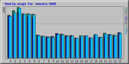 Hourly usage for January 2026