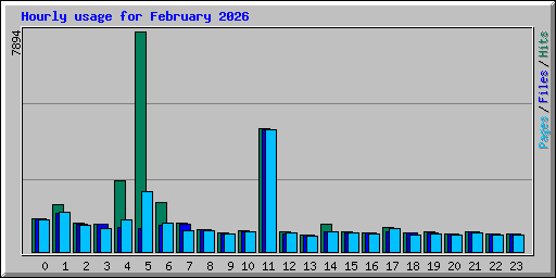 Hourly usage for February 2026